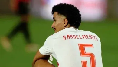 حسام عبد المجيد, الاحتراف الأوروبي, لودوجوريتش
