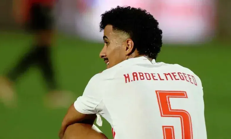 حسام عبد المجيد, الاحتراف الأوروبي, لودوجوريتش
