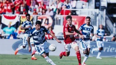 سعد شلبي, النادي الأهلي, المدير التنفيذي