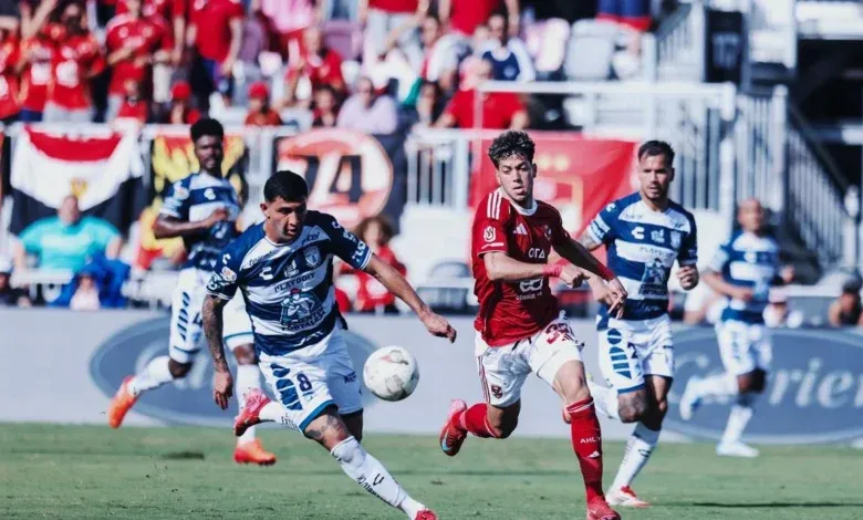 سعد شلبي, النادي الأهلي, المدير التنفيذي