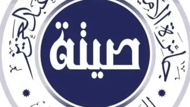 جائزة الأميرة صيتة, العمل الاجتماعي, التميز في العمل الاجتماعي