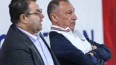 النادي الأهلي, سعد شلبي, مجلس الإدارة