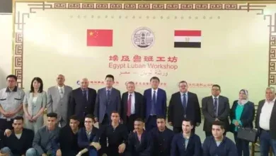 ورش لوبان, الصناعة المصرية, التعليم الفني