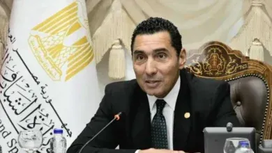 صالون ماسبيرو الثقافي, وزارة الشباب والرياضة, الهيئة الوطنية للإعلام