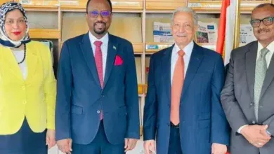 العلاقات المصرية السودانية, وزير الثقافة السوداني, المجلس المصري للشئون الخارجية