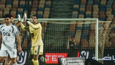 النادي الأهلي, محمد هاني, مصطفى شوبير