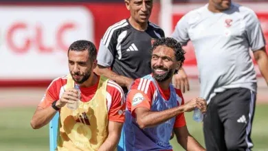محمد هاني, نسبة المشاركة, النادي الأهلي