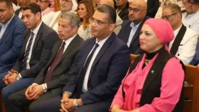 مهرجان الغردقة لسينما الشباب, محافظ البحر الأحمر, دعم الفن والثقافة